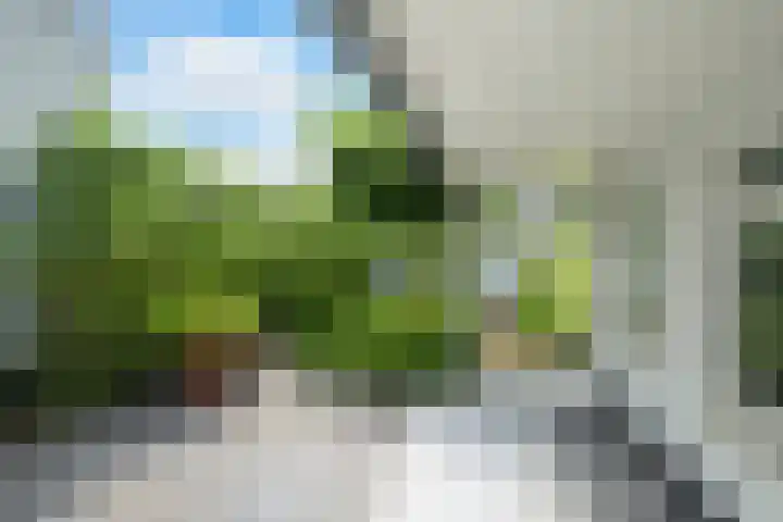 Dorpstraat 4 Ulvenhout thumbnail 41