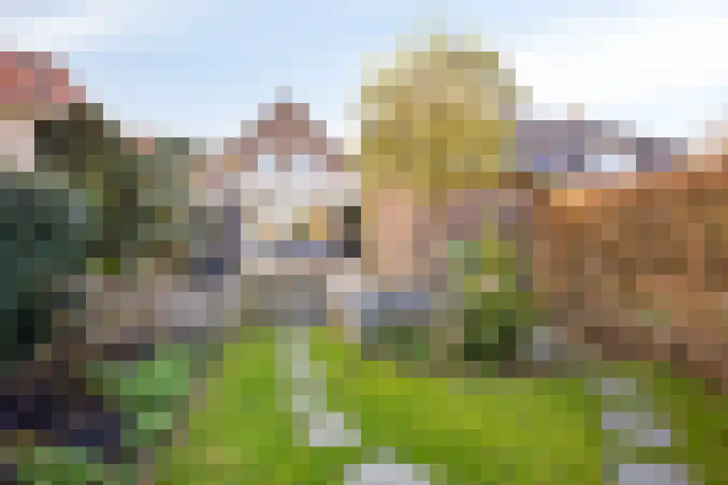 Dorpstraat 43 Leende thumbnail 42