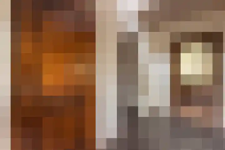 Dorpstraat 44 A Lopik thumbnail 32
