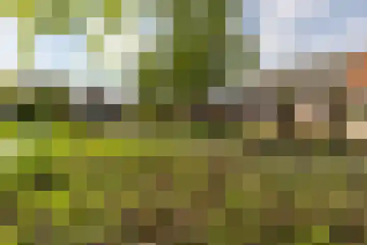 Dorpstraat 44 A Lopik thumbnail 4