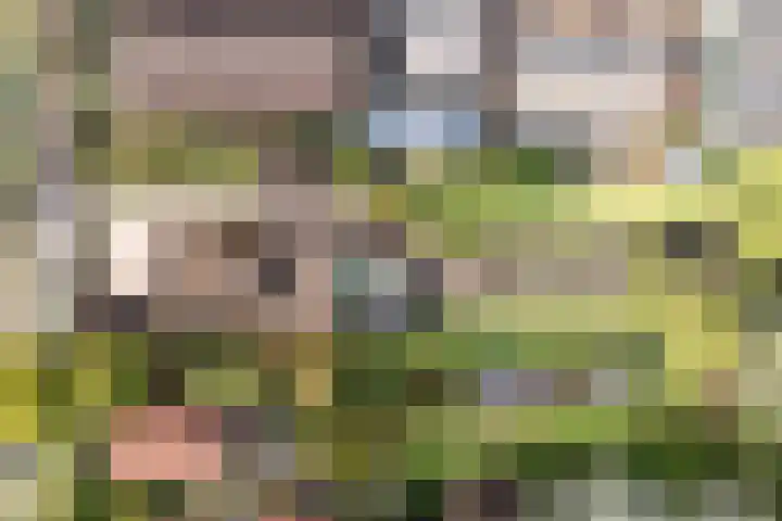 Dorpstraat 44 A Lopik thumbnail 6