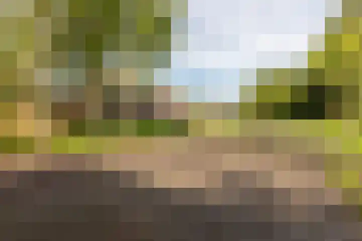 Dorpstraat 44 A Lopik thumbnail 63
