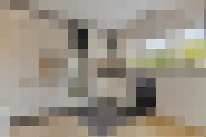 Dorpstraat 5 C Nuland thumbnail 11