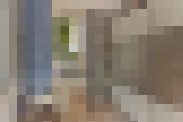 Dorpstraat 5 C Nuland thumbnail 20