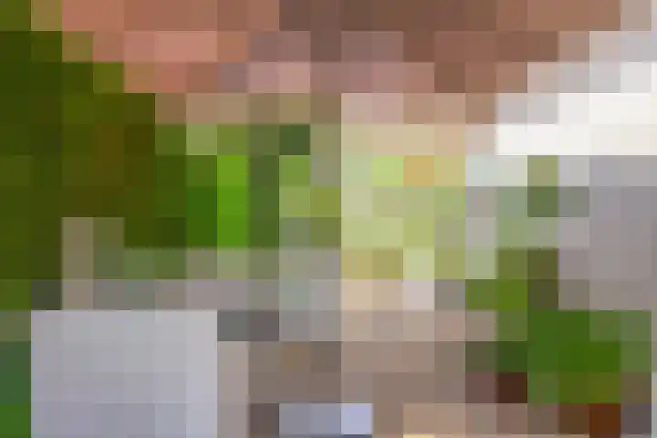 Dorpstraat 5 C Nuland thumbnail 32