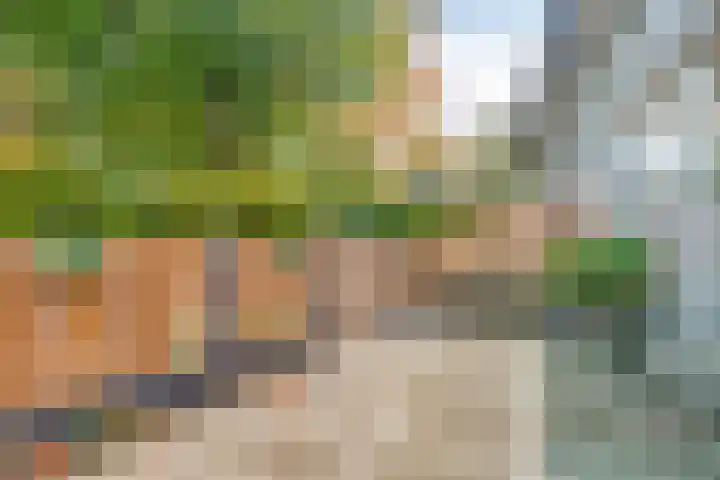 Dorpstraat 5 H Geffen thumbnail 5