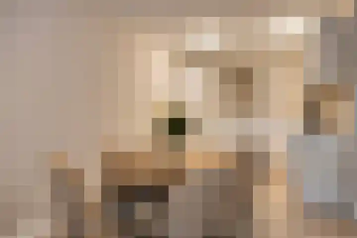 Dorpstraat 5 N Geffen thumbnail 8