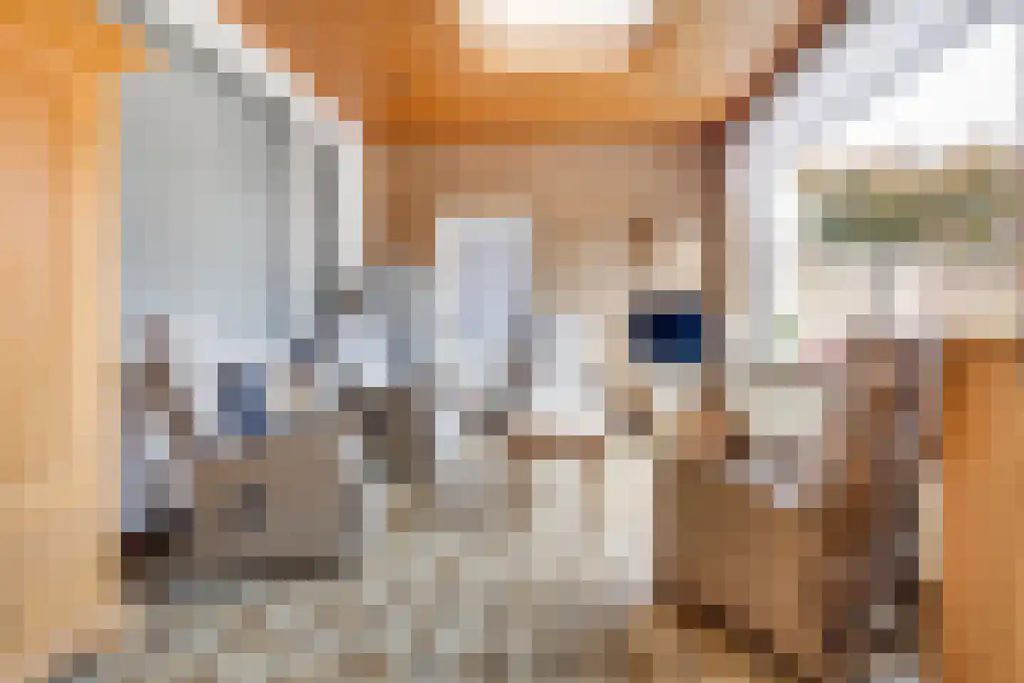 Dorpstraat 51 Buchten thumbnail 13