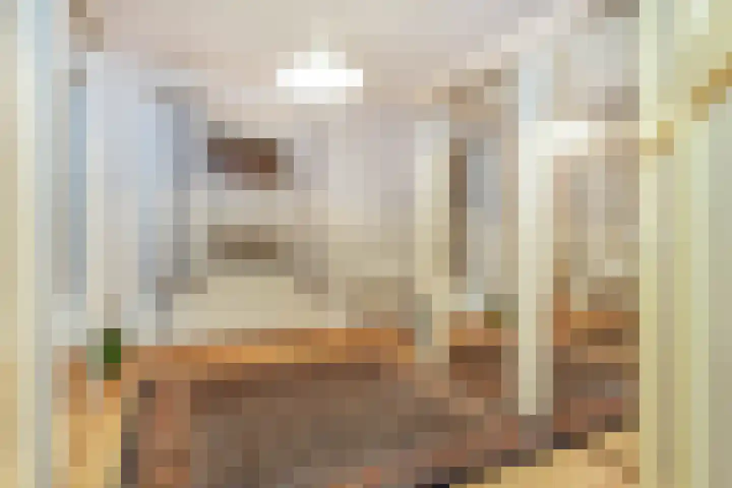 Dorpstraat 51 Buchten thumbnail 24