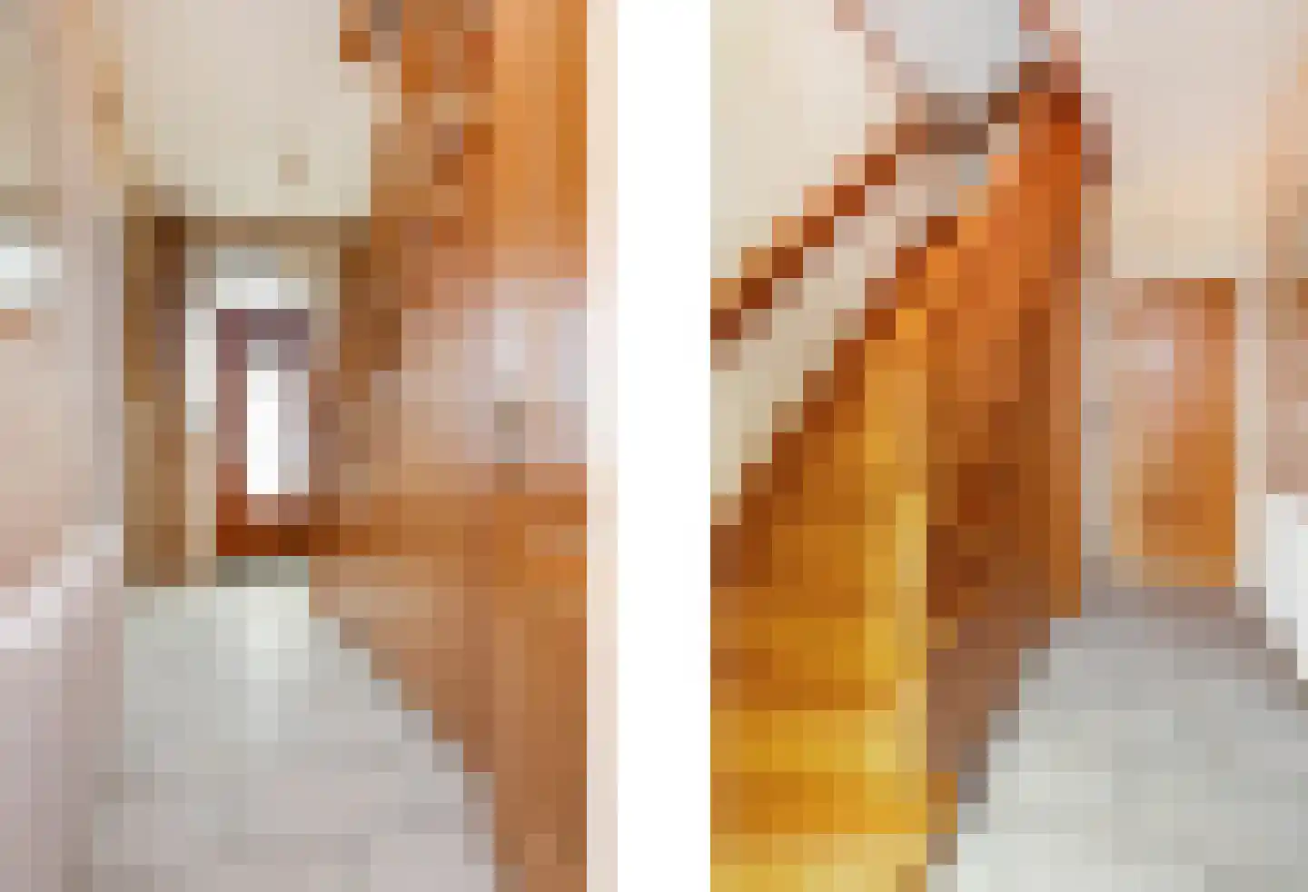 Dorpstraat 51 Buchten thumbnail 8