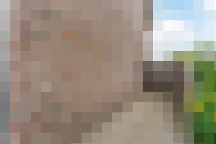 Dorpstraat 54 Luyksgestel thumbnail 38