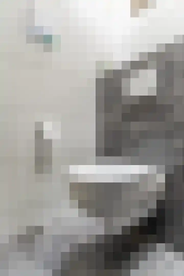 Dorpstraat 54 Luyksgestel thumbnail 8