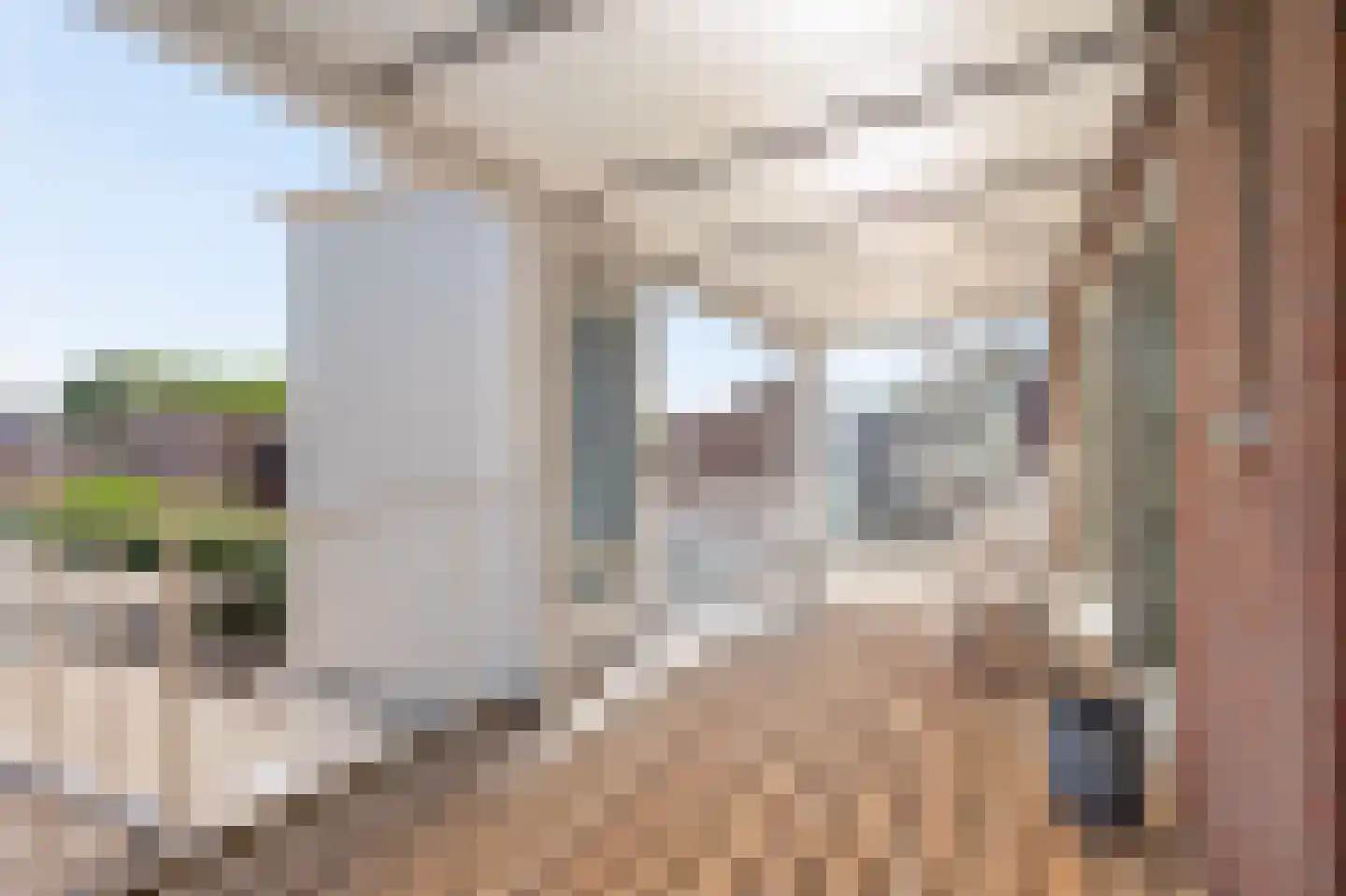 Dorpstraat 57 Buchten thumbnail 22