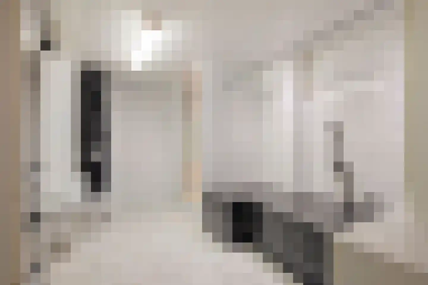 Dorpstraat 57 Buchten thumbnail 38