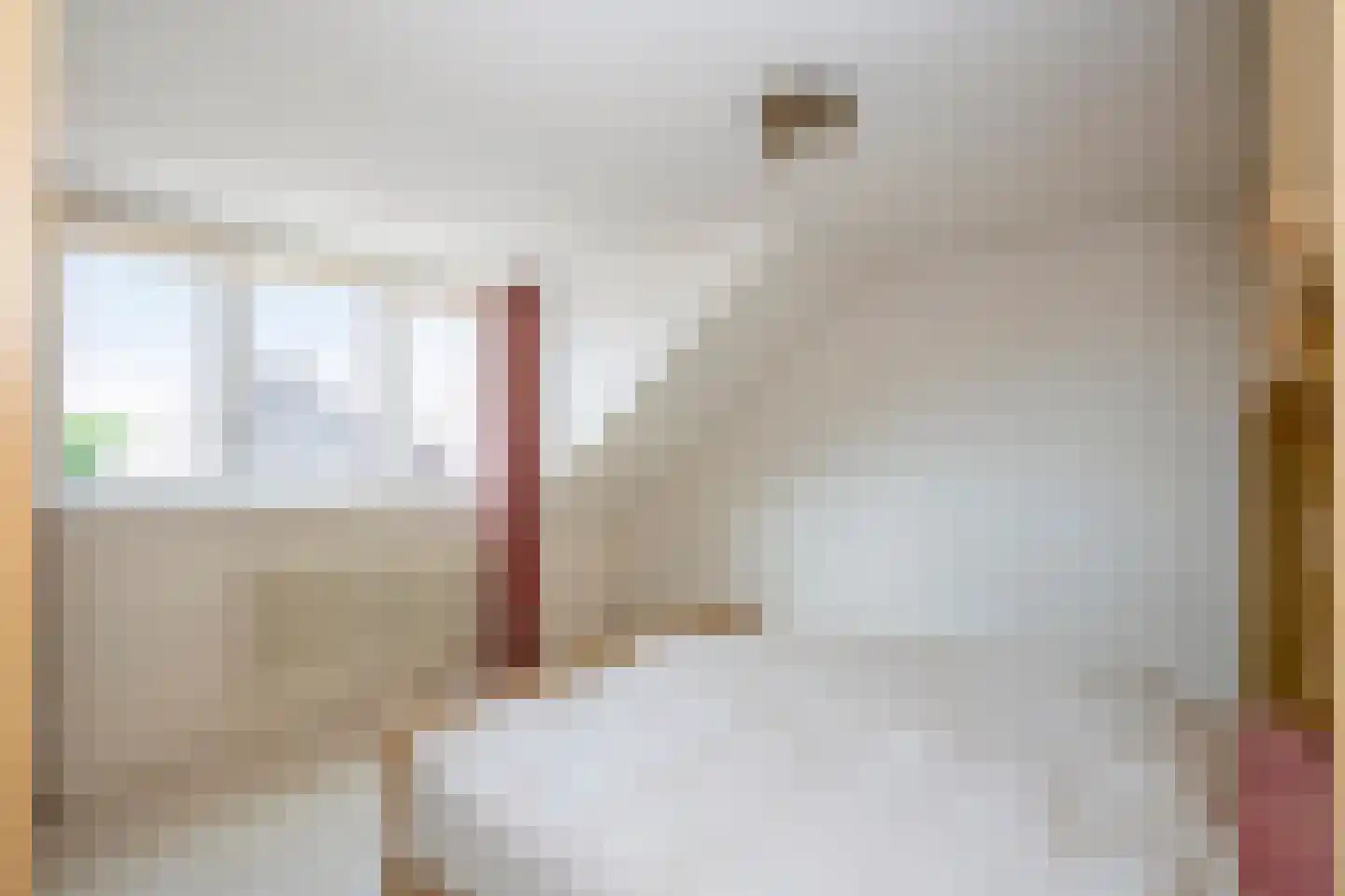 Dorpstraat 57 Buchten thumbnail 44