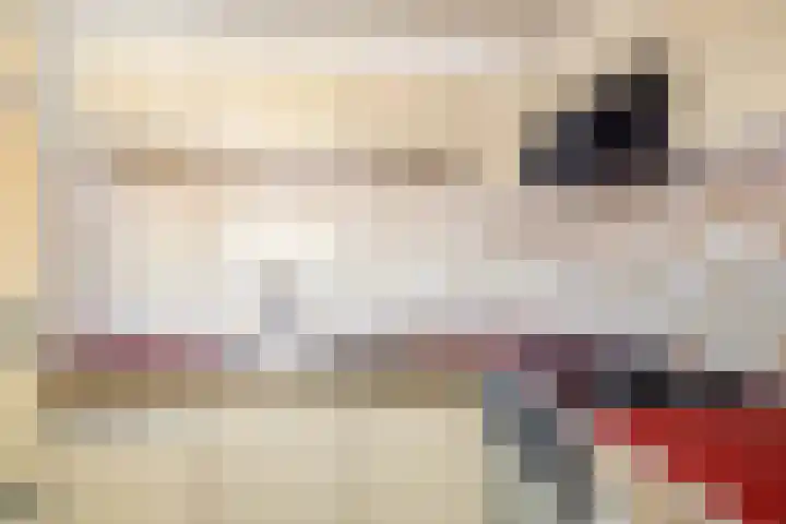 Dorpstraat 6 Jabeek thumbnail 15