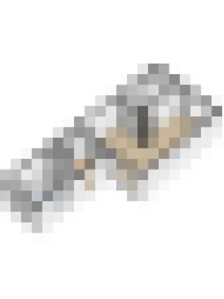 Dorpstraat 6 Jabeek thumbnail 35