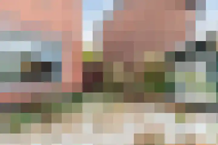 Dorpstraat 61 A Echt thumbnail 25