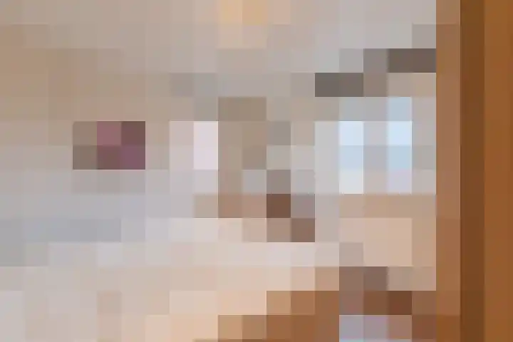 Dorpstraat 61 A Echt thumbnail 31