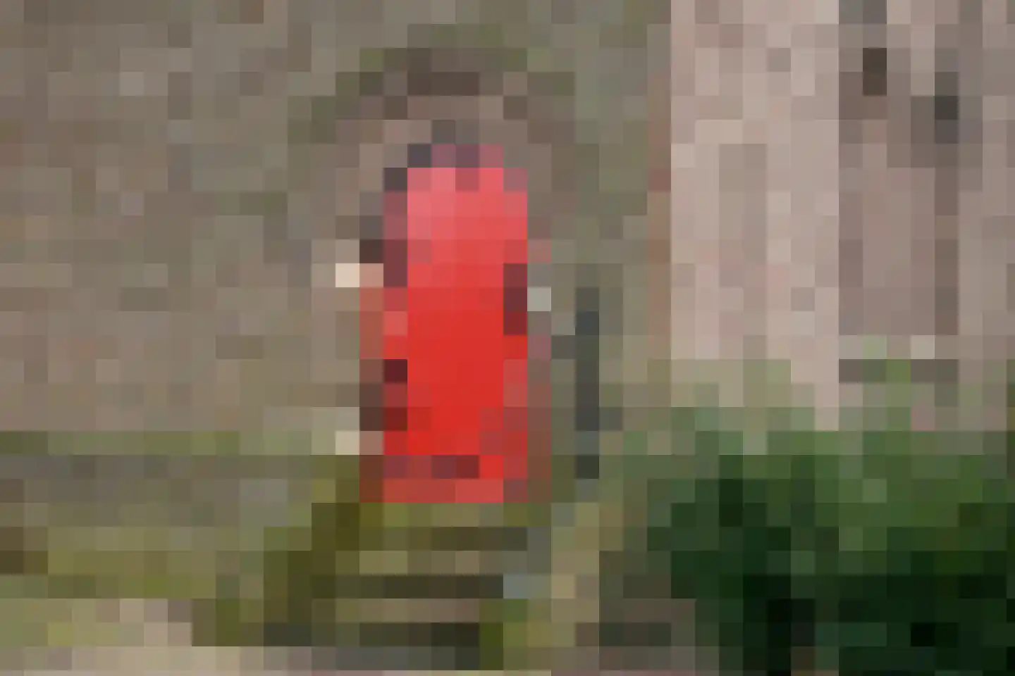 Dorpstraat 7 Groessen thumbnail 5