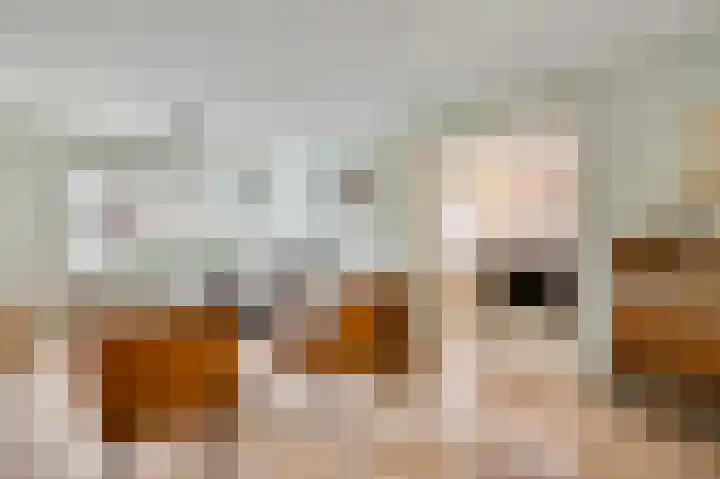 Dorpstraat 75 Baexem thumbnail 15