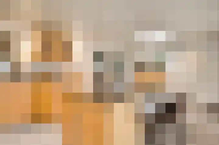 Dorpstraat 75 Baexem thumbnail 18