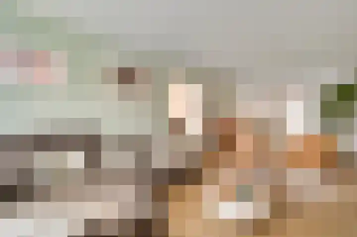 Dorpstraat 75 Baexem foto 2