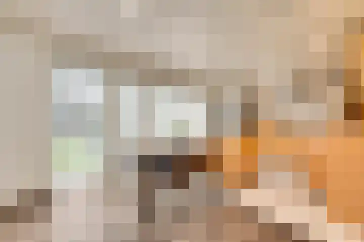 Dorpstraat 75 Baexem thumbnail 22