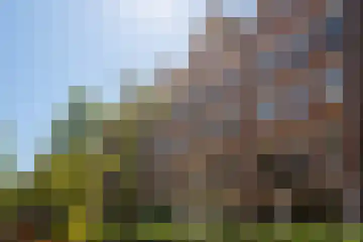 Dorpstraat 75 Baexem thumbnail 40