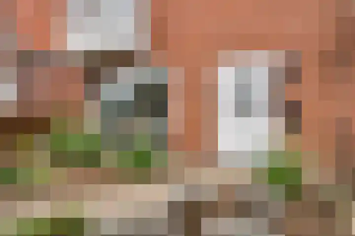 Dorpstraat 75 Baexem thumbnail 6