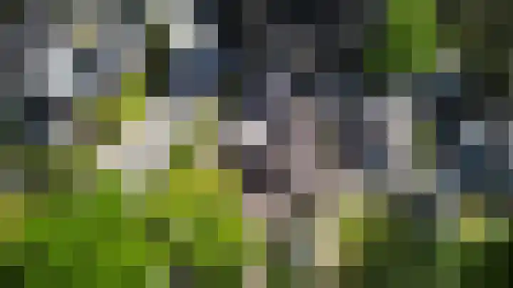 Dorpstraat 75 Baexem thumbnail 8