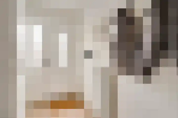 Dorpstraat 75 Baexem thumbnail 8