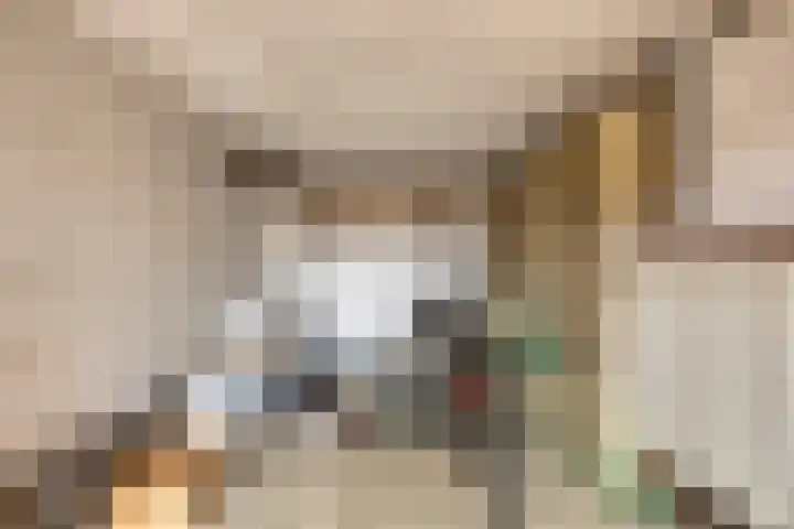 Dorpstraat 77 A Echt thumbnail 13