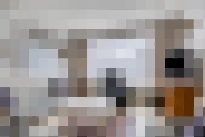 Dorpstraat 77 A Echt thumbnail 5