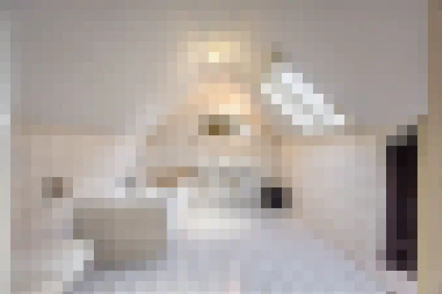 Dorpstraat 8 Gassel thumbnail 17