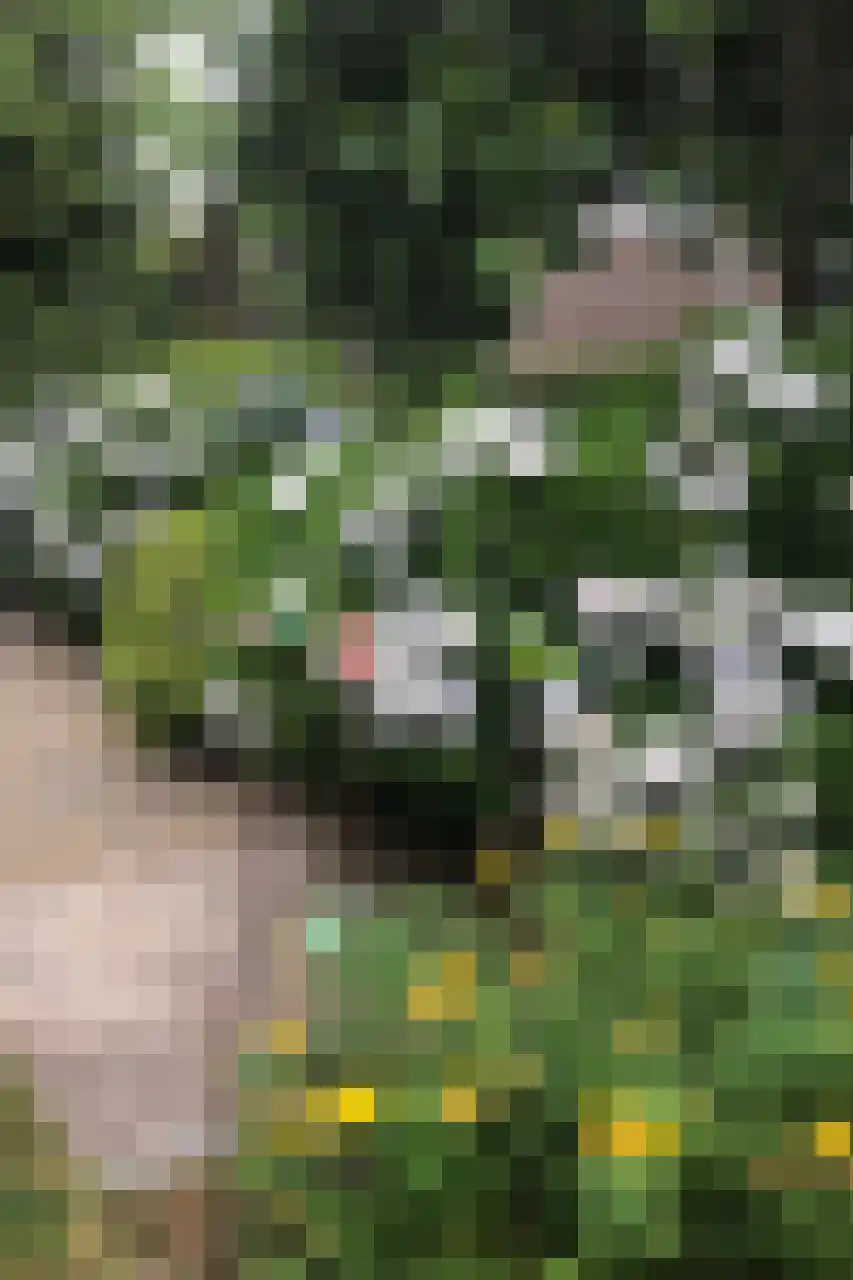 Dorpstraat 8 Gassel thumbnail 31