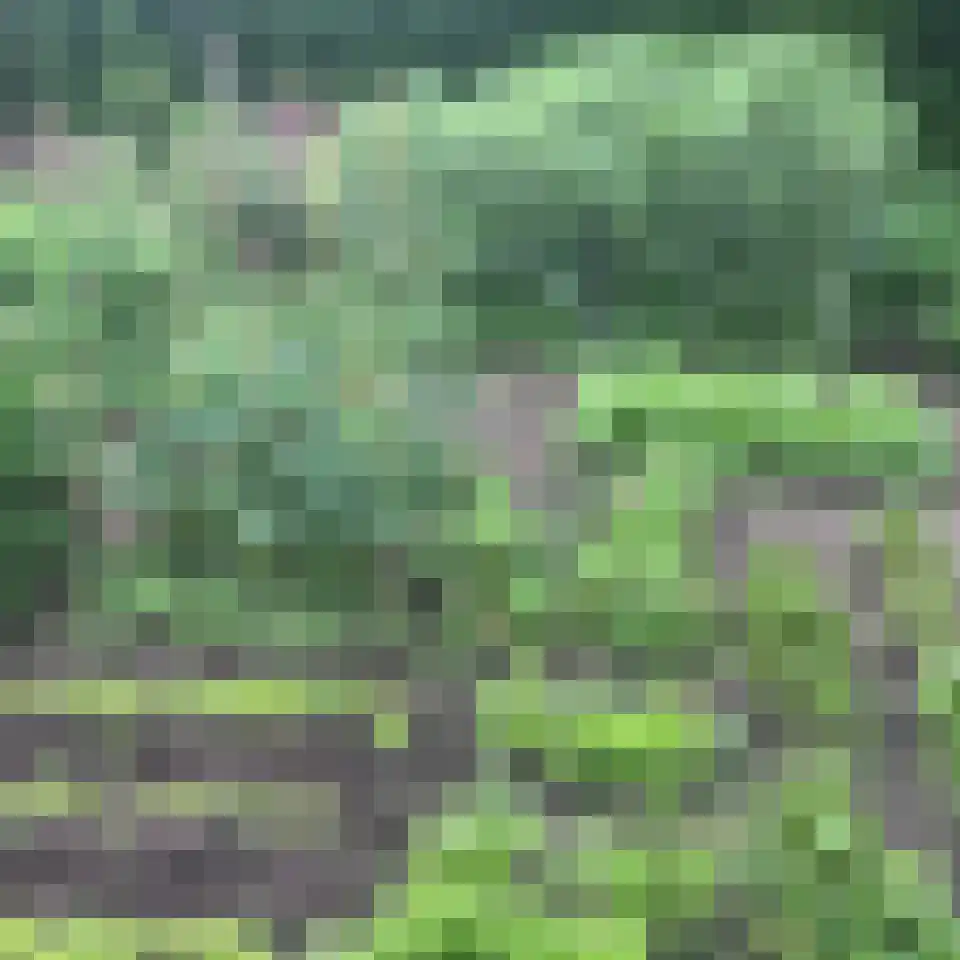 Dorpstraat 8 Gassel thumbnail 32