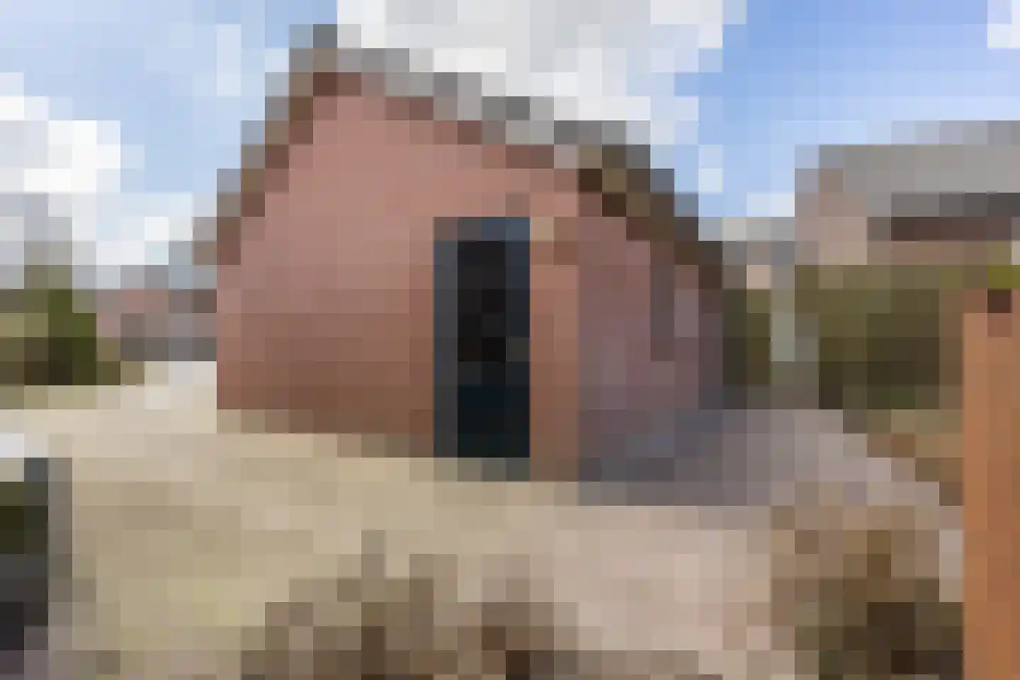 Dorpstraat 8 Gassel thumbnail 37