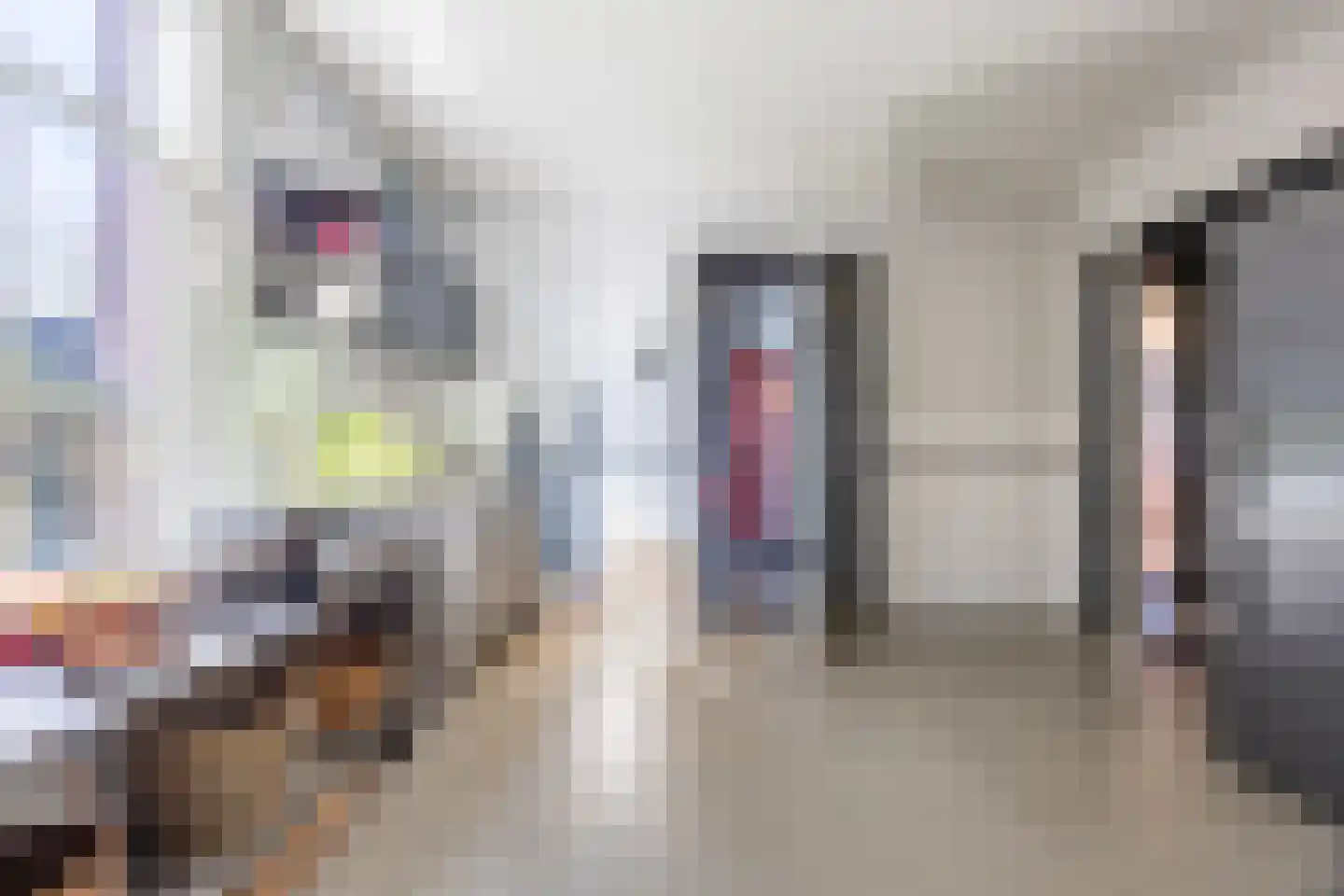 Dorpstraat 8 Gassel thumbnail 9