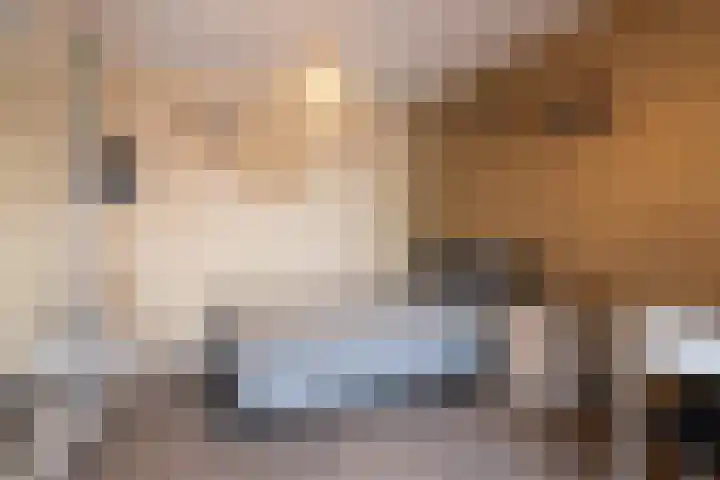 Dorpstraat 81 Buchten thumbnail 11
