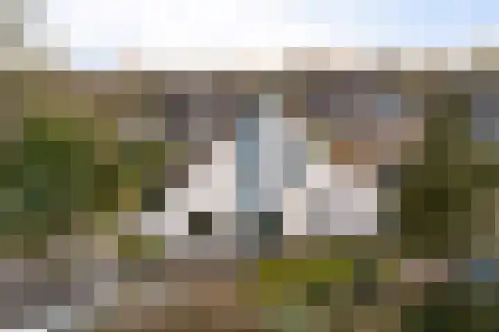 Dorpstraat 81 Buchten thumbnail 12