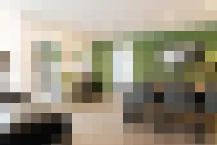Dorpstraat 81 Buchten thumbnail 20