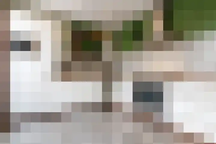 Dorpstraat 81 Buchten thumbnail 21