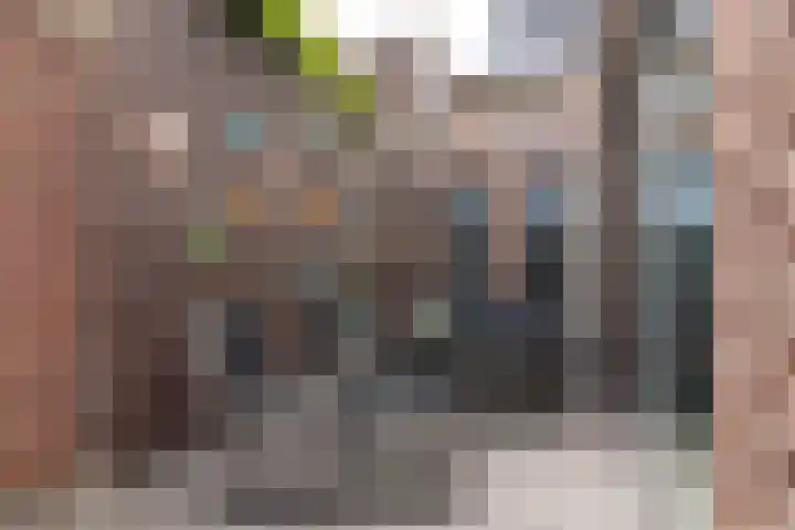 Dorpstraat 81 Buchten thumbnail 38