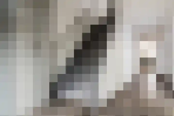 Dorpstraat 81 Buchten thumbnail 6