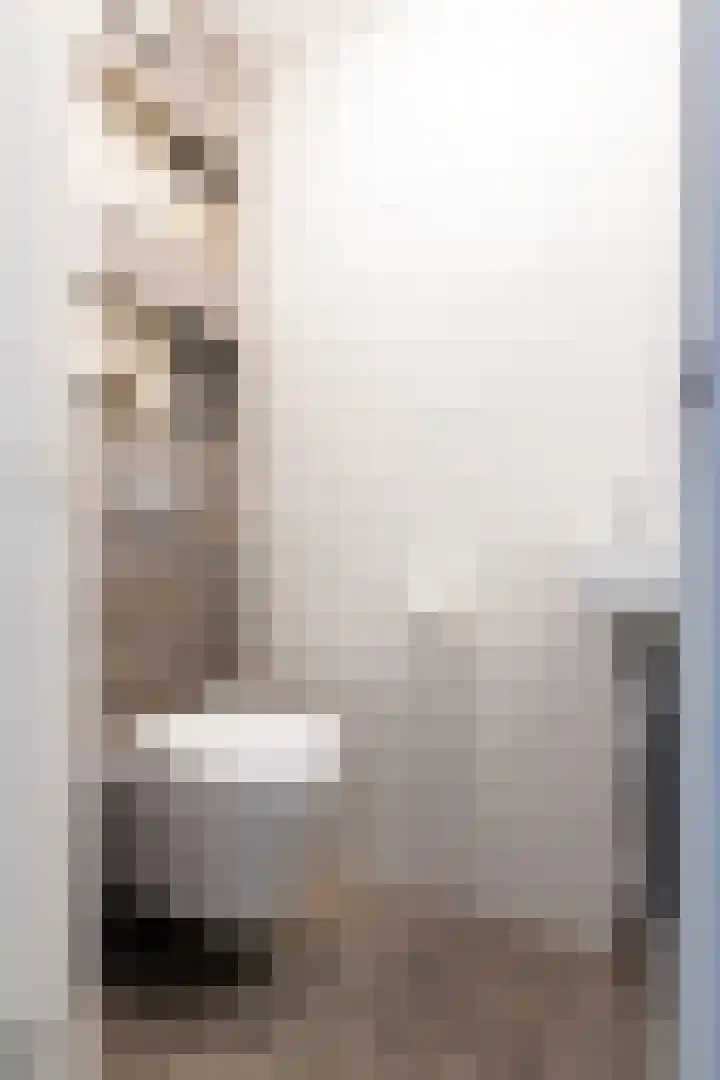 Dorpstraat 81 Buchten thumbnail 8
