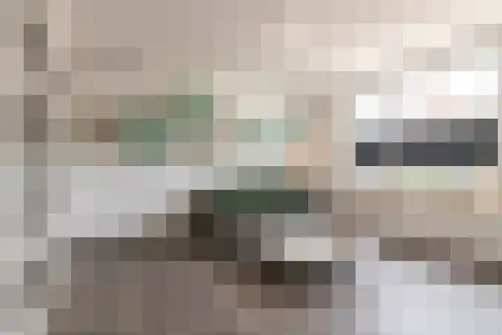 Dorpstraat 81 Buchten thumbnail 9