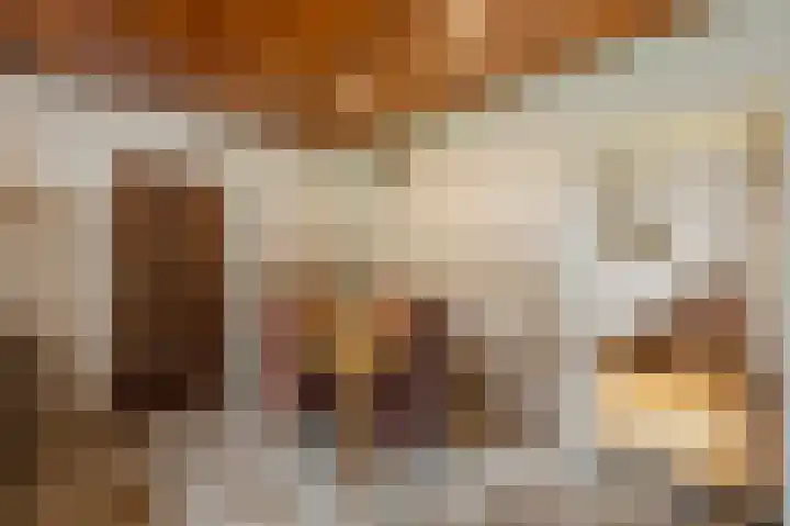 Dorpstraat 91 Echt thumbnail 18