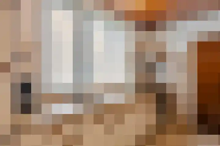 Dorpstraat 91 Echt thumbnail 19