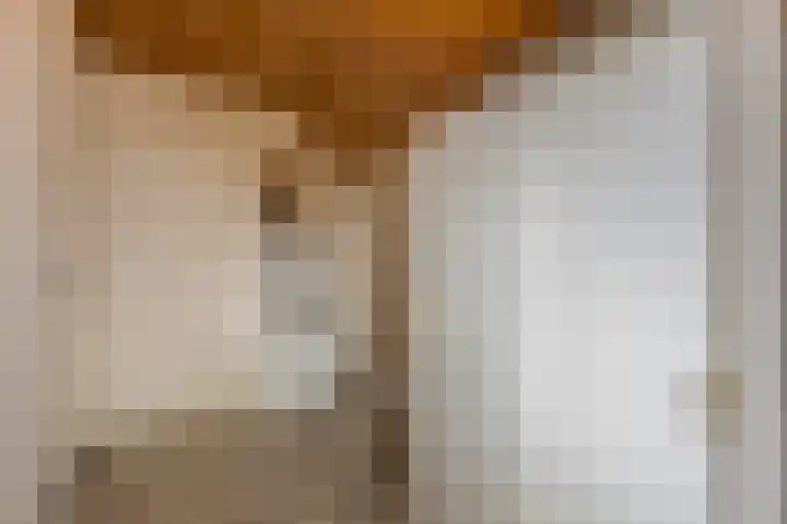 Dorpstraat 91 Echt thumbnail 30